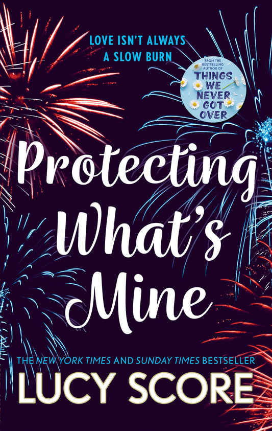 Protecting What’s Mine : the stunning small town love story from the author of Things We Never Got Over