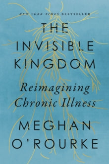 The Invisible Kingdom : Reimagining Chronic Illness