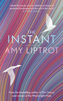 The Instant : Sunday Times Bestseller