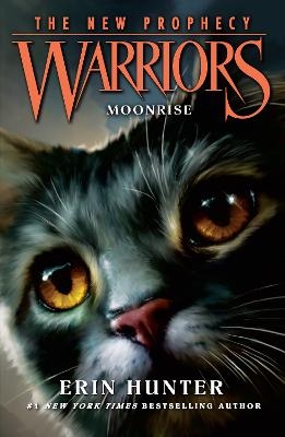 Picture of MOONRISE (Warriors: The New Prophecy, Book 2)