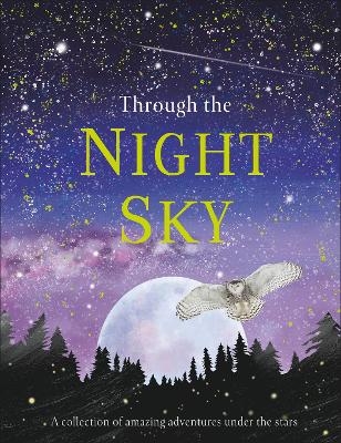 Picture of Through the Night Sky: A collection of amazing adventures under the stars