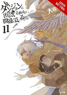 Picture of Is It Wrong to Try to Pick Up Girls in a Dungeon?, Vol. 11 (light novel)