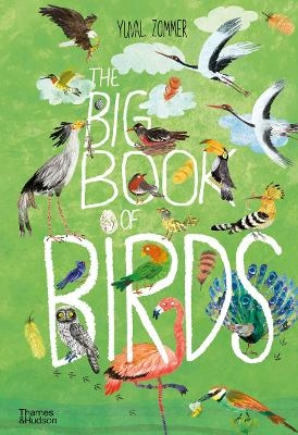 Picture of The Big Book of Birds
