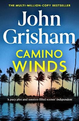 Picture of Camino Winds: The Ultimate  Murder Mystery from the Greatest Thriller Writer Alive