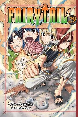 Picture of Fairy Tail 29