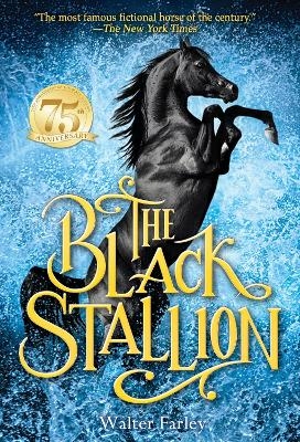 Picture of The Black Stallion
