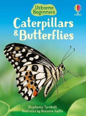 Picture of Caterpillars and Butterflies