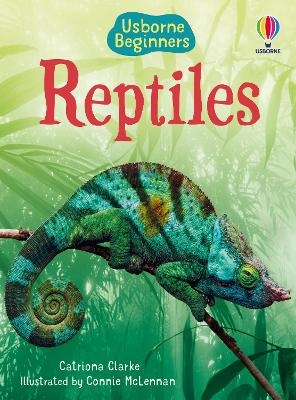 Picture of Reptiles