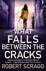 Picture of What Falls Between the Cracks