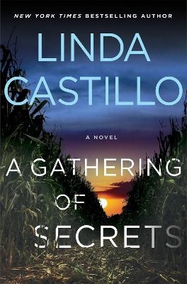 Picture of A Gathering of Secrets: A Kate Burkholder Novel