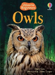 Picture of Owls