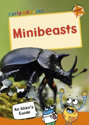 Picture of Minibeasts: (Orange Non-fiction Early Reader)