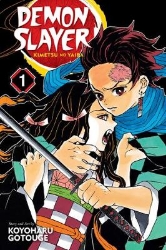 Picture of Demon Slayer: Kimetsu no Yaiba, Vol. 1