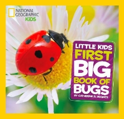 Picture of Little Kids First Big Book of Bugs (National Geographic Kids)