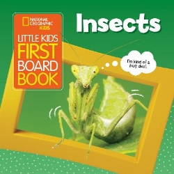 Picture of Little Kids First Board Book Insects (National Geographic Kids)