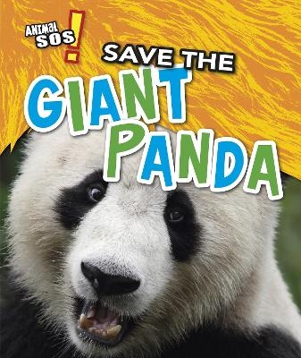 Picture of Save the Giant Panda