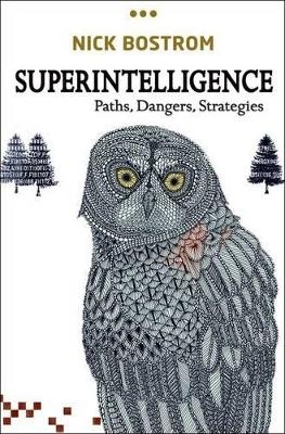 Picture of Superintelligence: Paths, Dangers, Strategies