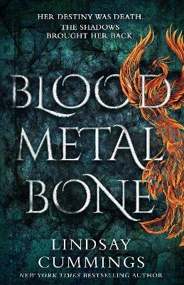 Picture of Blood Metal Bone