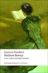 Picture of Madame Bovary: Provincial Manners