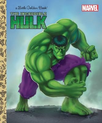 Picture of The Incredible Hulk (Marvel: Incredible Hulk)