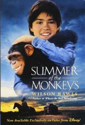 Picture of Summer of the Monkeys