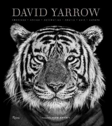 Picture of David Yarrow Photography: Americas Africa Antarctica Arctic Asia Europe