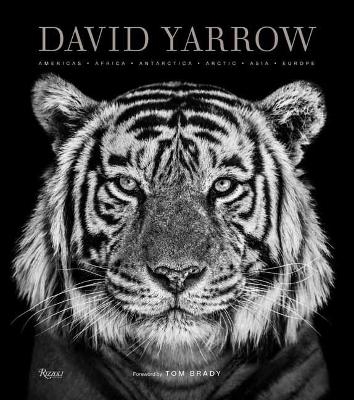 Picture of David Yarrow Photography: Americas Africa Antarctica Arctic Asia Europe