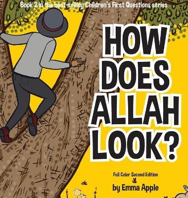 Picture of How Does Allah Look?