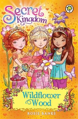 Picture of Secret Kingdom: Wildflower Wood: Book 13