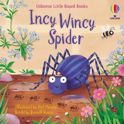 Picture of Incy Wincy Spider