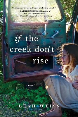 Picture of If the Creek Don't Rise: A Novel
