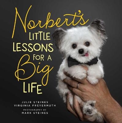 Picture of Norbert's Little Lessons for a Big Life