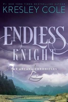 Picture of Endless Knight