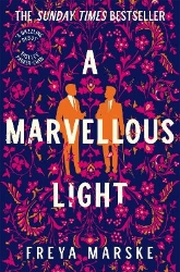 Picture of A Marvellous Light: a dazzling, queer romantic fantasy