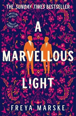 Picture of A Marvellous Light: a dazzling, queer romantic fantasy