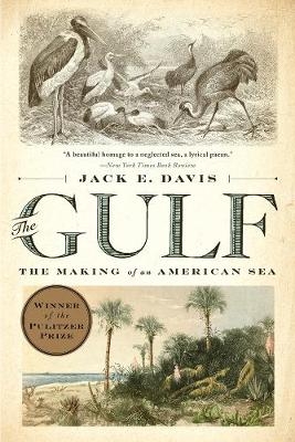 Picture of The Gulf: The Making of An American Sea