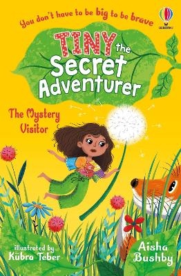 Picture of Tiny the Secret Adventurer: The Mystery Visitor