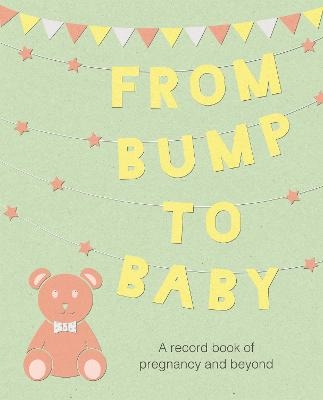 Picture of From Bump to Baby: A Record Book of Pregnancy and Beyond