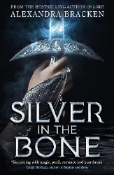 Picture of Silver in the Bone: Book 1