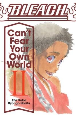 Picture of Bleach: Can't Fear Your Own World, Vol. 2