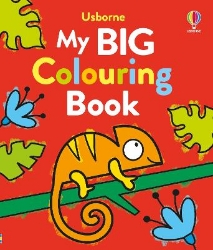 Picture of My Big Colouring Book