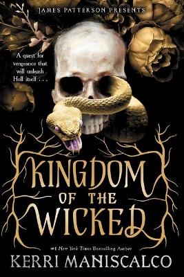 Picture of Kingdom of the Wicked