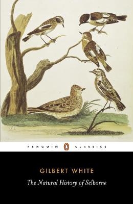 Picture of The Natural History of Selborne