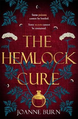 Picture of The Hemlock Cure: "A beautifully written story of the women of Eyam" Jennifer Saint, author of ARIADNE