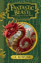 Picture of Fantastic Beasts and Where to Find Them