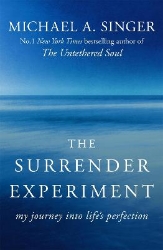 Picture of The Surrender Experiment: My Journey into Life's Perfection