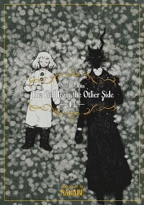 Picture of The Girl From the Other Side: Siuil, a Run Vol. 11