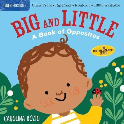 Picture of Indestructibles: Big and Little: A Book of Opposites: Chew Proof * Rip Proof * Nontoxic * 100% Washable (Book for Babies, Newborn Books, Safe to Chew)