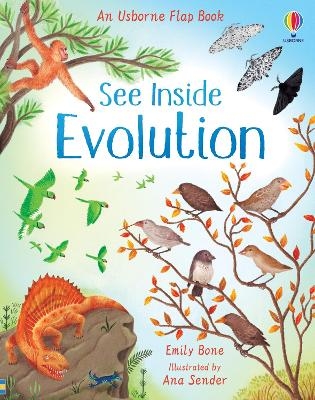 Picture of See Inside Evolution