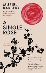 Picture of A Single Rose